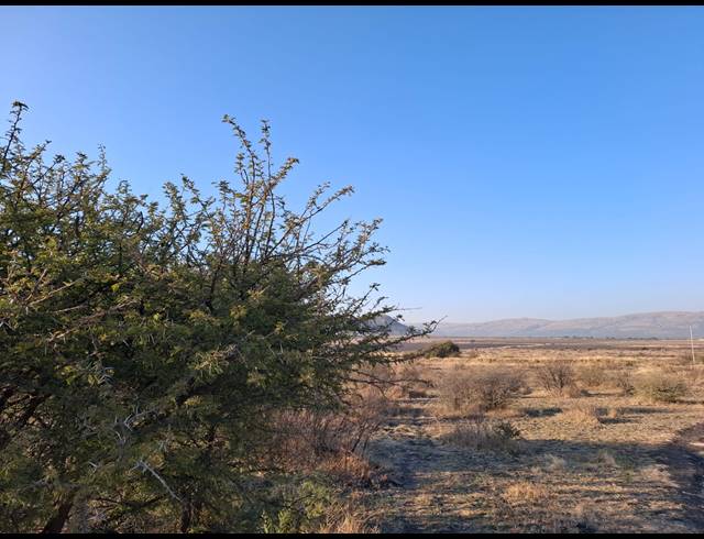 79HA VACANT LAND FOR SALE IN KROONDAL